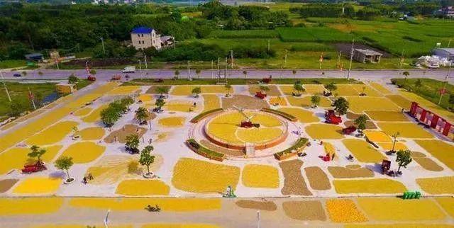 这个县城创造罚款收入下降“奇迹”开元棋牌app政府大楼旁可以摆摊(图4)