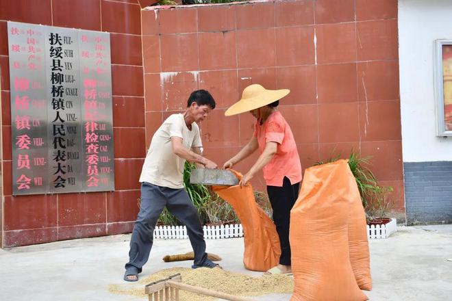 这个县城创造罚款收入下降“奇迹”开元棋牌app政府大楼旁可以摆摊(图7)